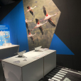 05_Rivolier_MuseeAirEspace_Flight