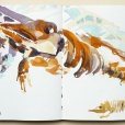 160730_UskManch_ManMuseum_21x60