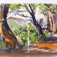 180604_Menorca7_foret_21x60