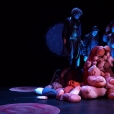 13_2018_PetitPrince_IVT_Rivolier