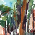 110624_aqumedici_jardin_01