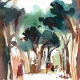 110624_aqumedici_jardin_02