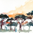 110625_aqumedici_jardin_02