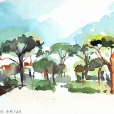110625_aqumedici_jardin_03